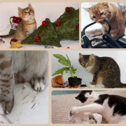 FURNIinspire3-Level Cat Tree With Sisal Scratching Posts, Fun Cat Badminton Toy For Playing, Soft Cushions & Play Areas, 25.5"*17.75"*46.5" 7 FURNIinspire3-Level Cat Tree With Sisal Scratching Posts, Fun Cat Badminton Toy For Playing, Soft Cushions & Play Areas, 25.5"*17.75"*46.5" -Home Decor GUEST 4f85f84f fe16 4de3 a06c 80677bbd54b6