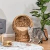 FURNIinspire Pet Crates And Houses Cat Bed With Cushions, Cat Basket Bed, High Cat House, Comfy Kitty Basket House, Brown, 16.5"*19.75"*23.5"